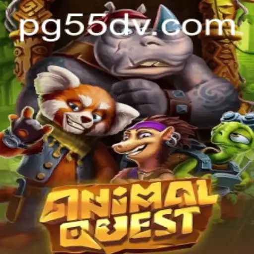 55dv.com Casino App