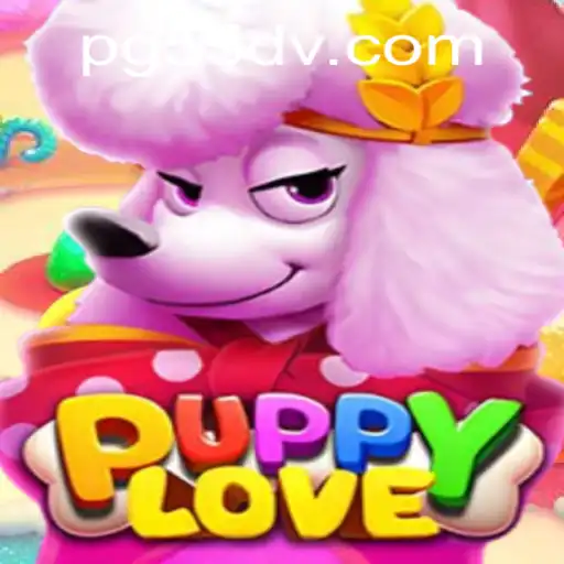 55dv.com Casino App